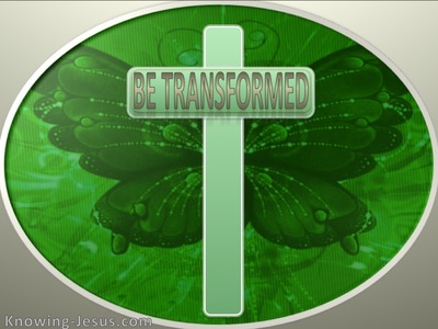 Be Transformed (devotional) (green)